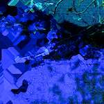 Image: Ninth image from the photoset 'damage (ccxli)'.