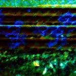 image: Image from the photoset ‘
damage (ccxlii)
’.