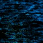 image: Image from the photoset ‘
damage (ccxlii)
’.