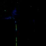 image: Image from the photoset ‘
damage (ccxlii)
’.