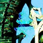 image: Image from the photoset ‘
damage (ccxliii)
’.