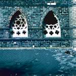 image: Image from the photoset ‘
damage (ccxlvi)
’.