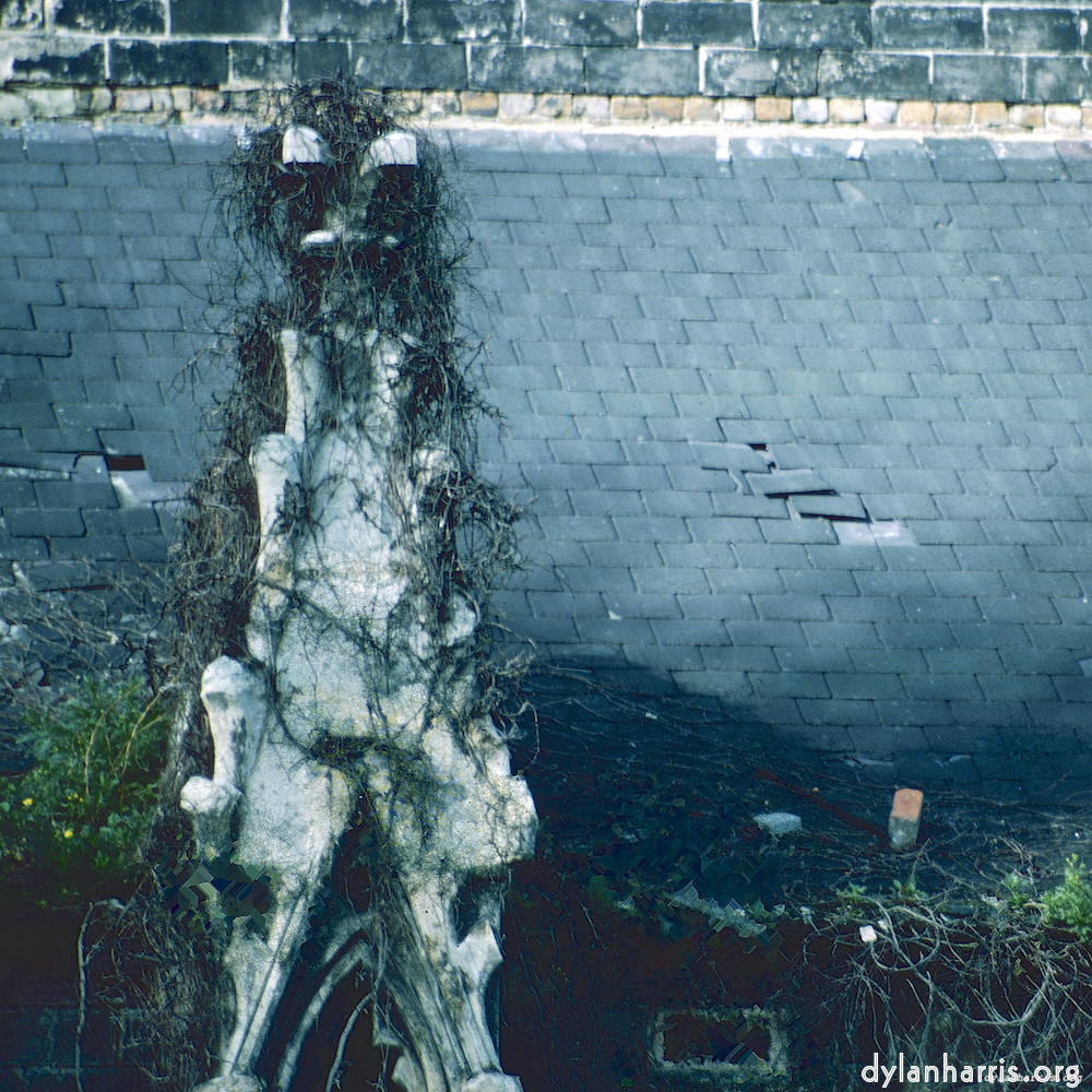 image: This is ‘
damage (ccxlvii) 3
’.