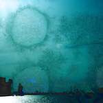 image: Image from the photoset ‘
damage (ccxlvii)
’.