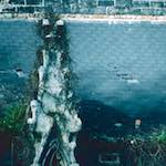 image: Image from the photoset ‘
damage (ccxlvii)
’.