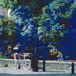 image: Image from the photoset ‘
damage (ccxlvii)
’.