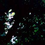 image: Image from the photoset ‘
damage (ccxlix)
’.