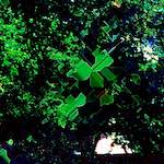 image: Image from the photoset ‘
damage (ccxlix)
’.