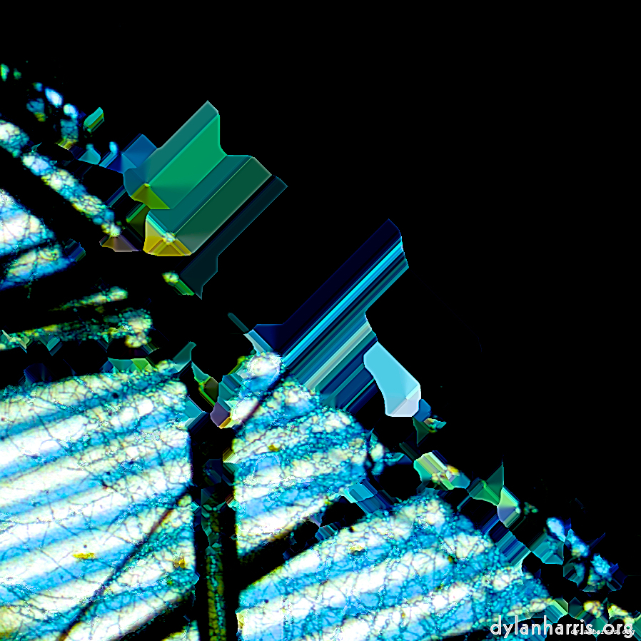 Image: Image 'damage (ccl) 9'.