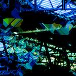 image: Image from the photoset ‘
damage (ccl)
’.