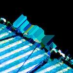 image: Image from the photoset ‘
damage (ccl)
’.