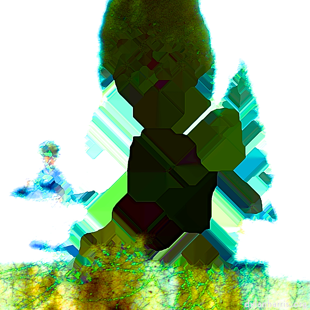 Image: Image 'damage (ccli) 1'.