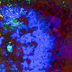 image: Image from the photoset ‘
damage (ccli)
’.