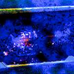 image: Image from the photoset ‘
damage (ccliv)
’.