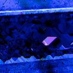 image: Image from the photoset ‘
damage (ccliv)
’.