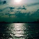 image: Image from the photoset ‘
damage (cclv)
’.