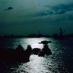 image: Image from the photoset ‘
damage (cclv)
’.