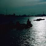 image: Image from the photoset ‘
damage (cclv)
’.