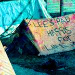 image: Image from the photoset ‘
damage (ccxxvii)
’.