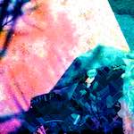 image: Image from the photoset ‘
damage (ccxxvii)
’.