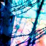 image: Image from the photoset ‘
damage (ccxxvii)
’.