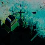 Image: Sixth image from the photoset 'damage (ccxxix)'.