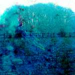 image: Image from the photoset ‘
damage (ccxxx)
’.