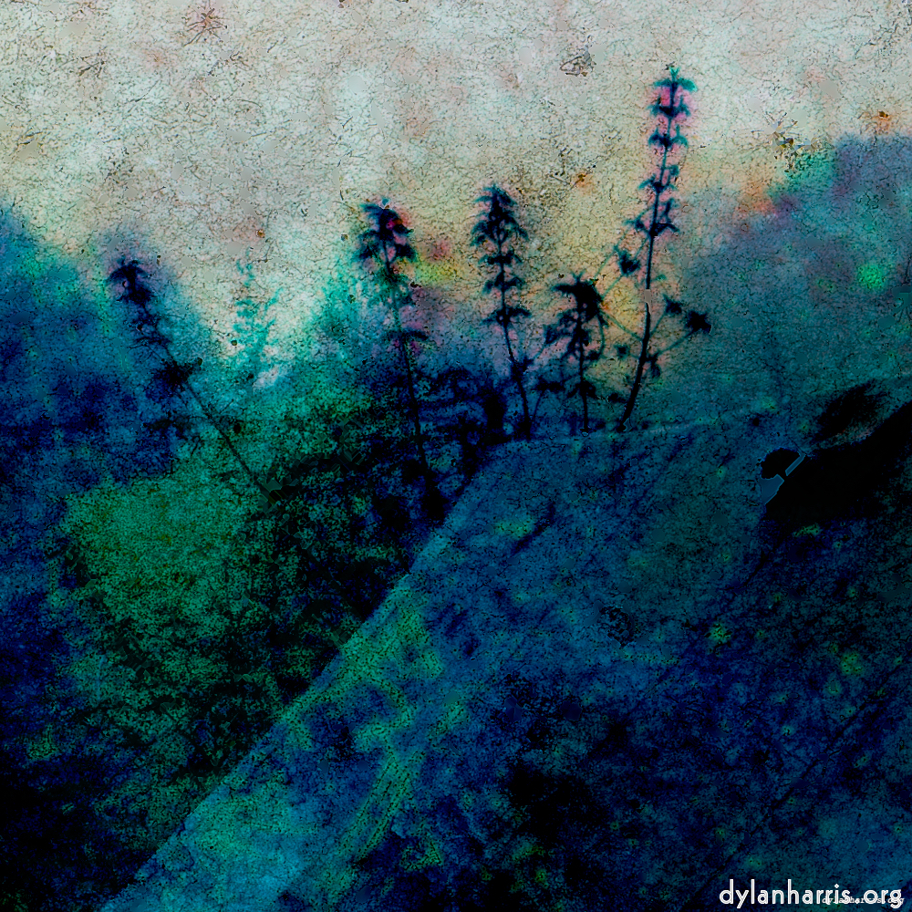 image: This is ‘
damage (ccxxxi) 2
’.