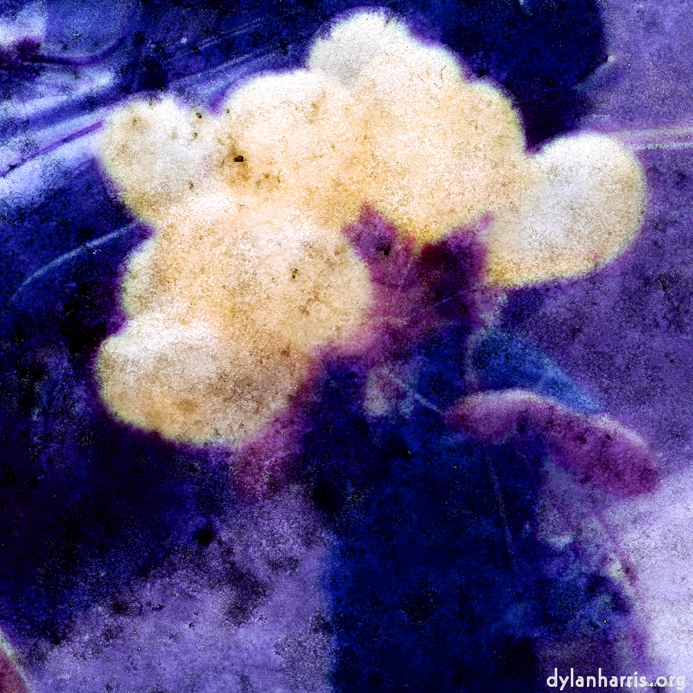 image: This is ‘
damage (ccxxxi) 6
’.