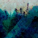 image: Image from the photoset ‘
damage (ccxxxi)
’.