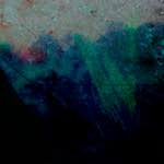 image: damage (ccxxxi) photoset