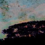 image: Image from the photoset ‘
damage (ccxxxii)
’.