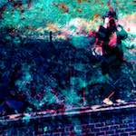 image: Image from the photoset ‘
damage (ccxxxii)
’.