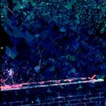 image: Image from the photoset ‘
damage (ccxxxii)
’.