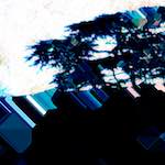 image: Image from the photoset ‘
damage (ccxxxiii)
’.