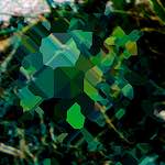 image: Image from the photoset ‘
damage (ccxxxiv)
’.