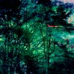 image: Image from the photoset ‘
damage (ccxxxiv)
’.