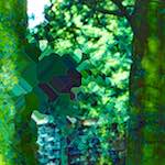 image: Image from the photoset ‘
damage (ccxxxiv)
’.