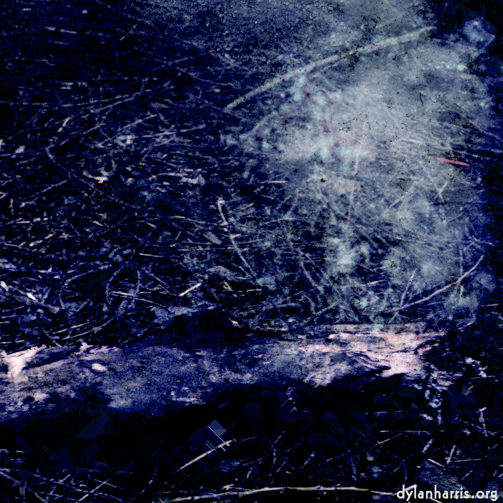 image: This is ‘
damage (xix) 5
’.