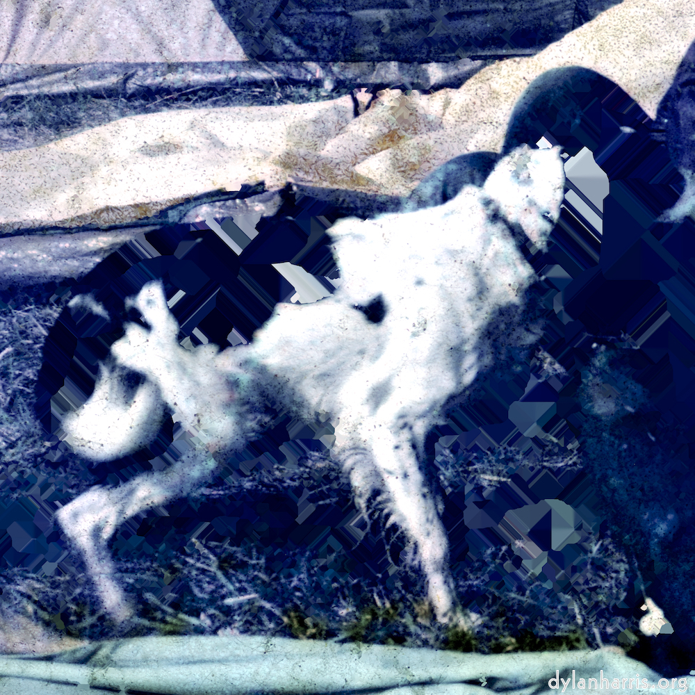 image: This is ‘
damage (xx) 2
’.