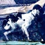 image: Image from the photoset ‘
damage (xx)
’.