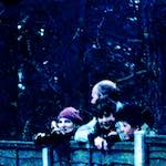 image: Image from the photoset ‘
damage (xxii)
’.