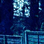 Fourth image from the photoset 'damage (xxiii)'.