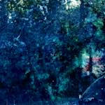 image: Image from the photoset ‘
damage (xxiv)
’.