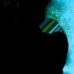 image: Image from the photoset ‘
damage (clxxxii)
’.