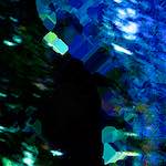 image: Image from the photoset ‘
damage (clxxxiv)
’.