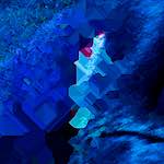 image: Image from the photoset ‘
damage (clxxxiv)
’.