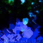 image: Image from the photoset ‘
damage (clxxxiv)
’.