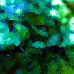 image: Image from the photoset ‘
damage (clxxxv)
’.