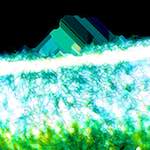 image: Image from the photoset ‘
damage (ccxcii)
’.